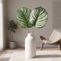 Calathea künstlich 51cm Kunststoff grün mit zwei Blättern | Floristik24.at
