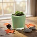 Glastopf aus Glas Ø10cm H8,5cm Mintgrün für Dekoration | Floristik24.at