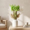 Samtgras Lagurus Grün 20-50cm 25g Trockenblumen Trockendeko | Floristik24.at