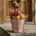 Keramik Blumentopf weiß gewaschen im braunen Metallkorb Ø18cm | Floristik24.at
