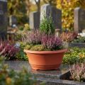 Pflanzschale aus Kunststoff Terrakotta Ø20cm 5 Stück | Floristik24.at