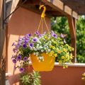 Blumenampel Kunststoff 25cm Gelb mit Haken | Floristik24.at