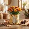 Deko Metalldose mit Rostoptik Ø8cm H7,5cm Apricot | Floristik24.at