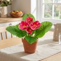 Primeln künstliche Blumen Schlüsselblumen aus Kunststoff Pink H25cm | Floristik24.at
