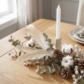 Deko-Federn echte Vogelfedern gefärbt Champagner 16–20cm 20g | Floristik24.at