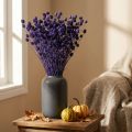 Erdbeerdisteln getrocknet Violett 44-58cm 100g Dekoration | Floristik24.at