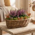 Brotkorb oval 30 cm aus ungeschälter Weide mit Plastikeinsatz, natur | Floristik24.at