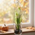 Traubenhyazinthe im hängenden Glas, Weiß, H22cm | Floristik24.at