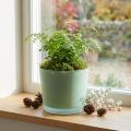 Glas Blumentopf Grün Ø14,5cm H12,5cm für Zimmerpflanzen | Floristik24.at