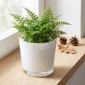 Übertopf aus Glas Weiß Ø11,5cm H11cm | Floristik24.at