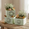 Pflanzkasten Holz Schublade Grün Shabby-Design 15-23cm 3er-Set | Floristik24.at