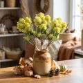 Kunstblume Sedum Grün 41cm 3er-Set Dekozweige für Herbst | Floristik24.at