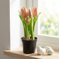 Künstliche Tulpen im Topf 22cm Peach Kunstblumen aus Kunststoff | Floristik24.at
