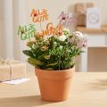 Pflanzenstecker „Glückwunsch“ und „Alles Gute“, Holz, ca. 8 cm, 6 Stück, sortiert in Grün, Rosa und Orange | Floristik24.at