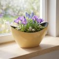 Pflanzschiffchen Gelb Kunststoff Deko-Schale 20x9x12cm | Floristik24.at