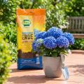 Hortensienerde 18 Liter Spezialerde für Blaue Hortensien | Floristik24.at