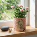 Blumentopf Metall Deko-Dose Ø15,5cm H15cm Lachs Rostoptik | Floristik24.at