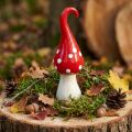 Keramik Fliegenpilz Deko-Pilz Rot-Weiß Ø6,5cm H21cm Innenbereich | Floristik24.at