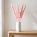 Pampasgras getrocknet Rosa 72cm Natur 6 Stiele | Floristik24.at