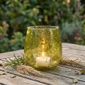 Windlicht Glas Vintage Gelbgrün Ø12 cm H12,5 cm | Floristik24.at