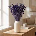 Phalaris Trockenblumenstrauß Glanzgras 50-55 cm Violett 100 g | Floristik24.at
