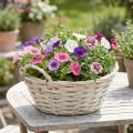Korb Pflanzkorb Weiß Ø30cm Höhe 14cm mit Griffen aus Holz | Floristik24.at