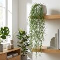 Deko-Ranke künstlicher Korallenkaktus Rhipsalis Grün 120 cm | Floristik24.at