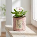 Blumentopf rund Metall Altrosa Ø8cm H7,5cm für Innenbereich | Floristik24.at