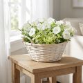 Korb aus Spanholz mit Griffen Weiß Ø35cm Pflanzkorb | Floristik24.at
