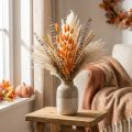 Lagurus getrocknet Hasenschwanzgras in Apricot 55-60cm 50g | Floristik24.at