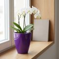 Orchideentopf Kunststoff glänzend Ø12,5cm Violett | Floristik24.at