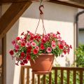 Blumenampel Kunststoff Ø30cm Terrakotta für Balkon und Garten | Floristik24.at