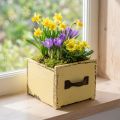 Pflanzkasten Holz Gelb 12,5cm mit Griff Dekoschublade | Floristik24.at
