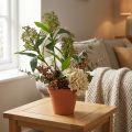 Kunstblumen Skimmia japonica Grün 45cm 2 Stück | Floristik24.at