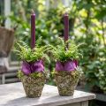 Pflanztopf Keramik Wald-Optik Ø12,5cm H12cm 2er-Set | Floristik24.at