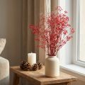 Schleierkraut Gypsophila getrocknet Rot 55g 50cm | Floristik24.at