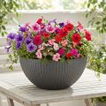 Pflanzschale Kunststoff Anthrazit Ø35 cm H16,5 cm | Floristik24.at