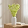Trockenblumen-Bund Nigella Grün 70cm 50g Raumdekoration | Floristik24.at