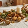 Sabulosum Zapfen Holz Creme 4–6 cm 500 g für Dekorationen | Floristik24.at