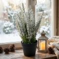 Künstliche Besenheide weiß im Topf, Calluna vulgaris, H26 cm | Floristik24.at
