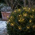 Lichternetz Buchsbaum mit 60 LED warmweiß Ø35 cm für innen und außen | Floristik24.at