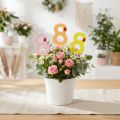 Bunte Jubiläumszahl 8 aus Holz mit Marienkäfer, 7,5 cm, 16 Stück | Floristik24.at