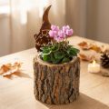 Blumentopf aus Holz mit Baumrinde und Wichtel 24cm Rostbraun | Floristik24.at