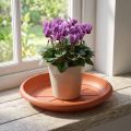 Untersetzer Linda Ø18 cm aus Kunststoff in Terrakotta | Floristik24.at