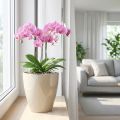 Orchideentopf Kunststoff glänzend Ø12,5cm Sand | Floristik24.at