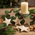 Kokosstern Natur 5 cm 50 Stück Weihnachts- und Tischdekoration | Floristik24.at