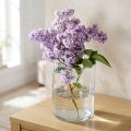 Zylindrische Glasvase Ø12cm H20cm Transparent für Wohn- und Tischdekoration | Floristik24.at