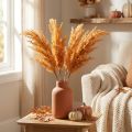 Künstliches Pampasgras Orange 35cm Trockengräser 4 Stück | Floristik24.at