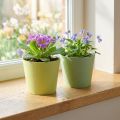 Papier-Mini-Pflanztopf Ø9cm H7,5cm Blau/Grün 4er Set Übertopf | Floristik24.at