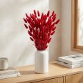 Getrocknetes Hasenschwanzgras Lagurus Rot 60cm Trockenblumen | Floristik24.at